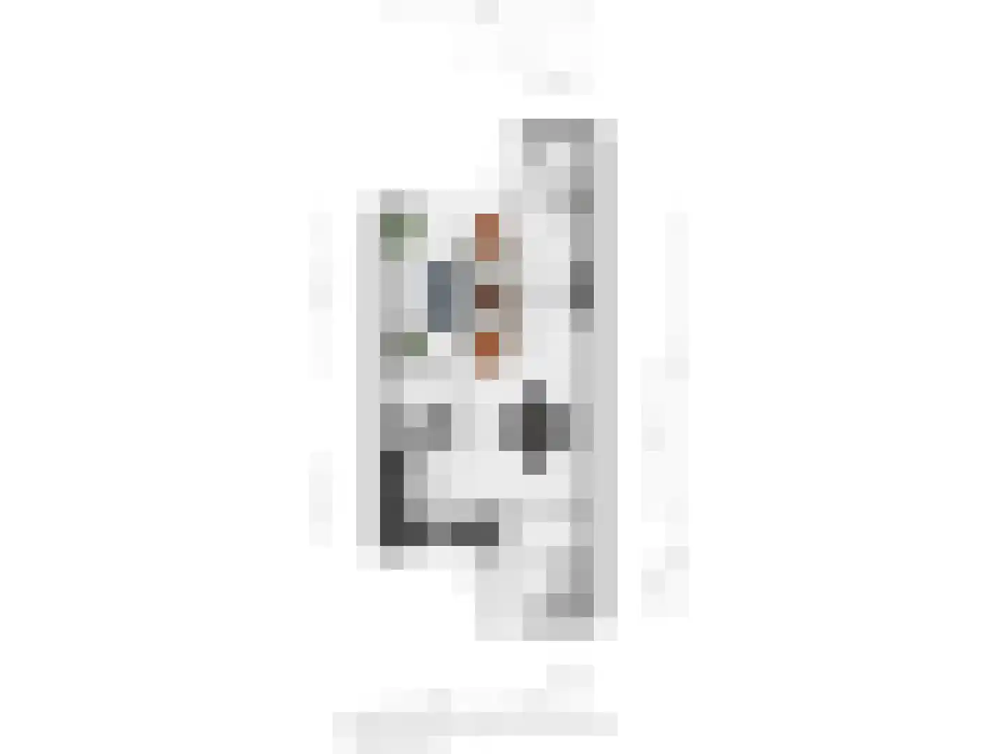Kalmoes 4 Hardenberg thumbnail 33
