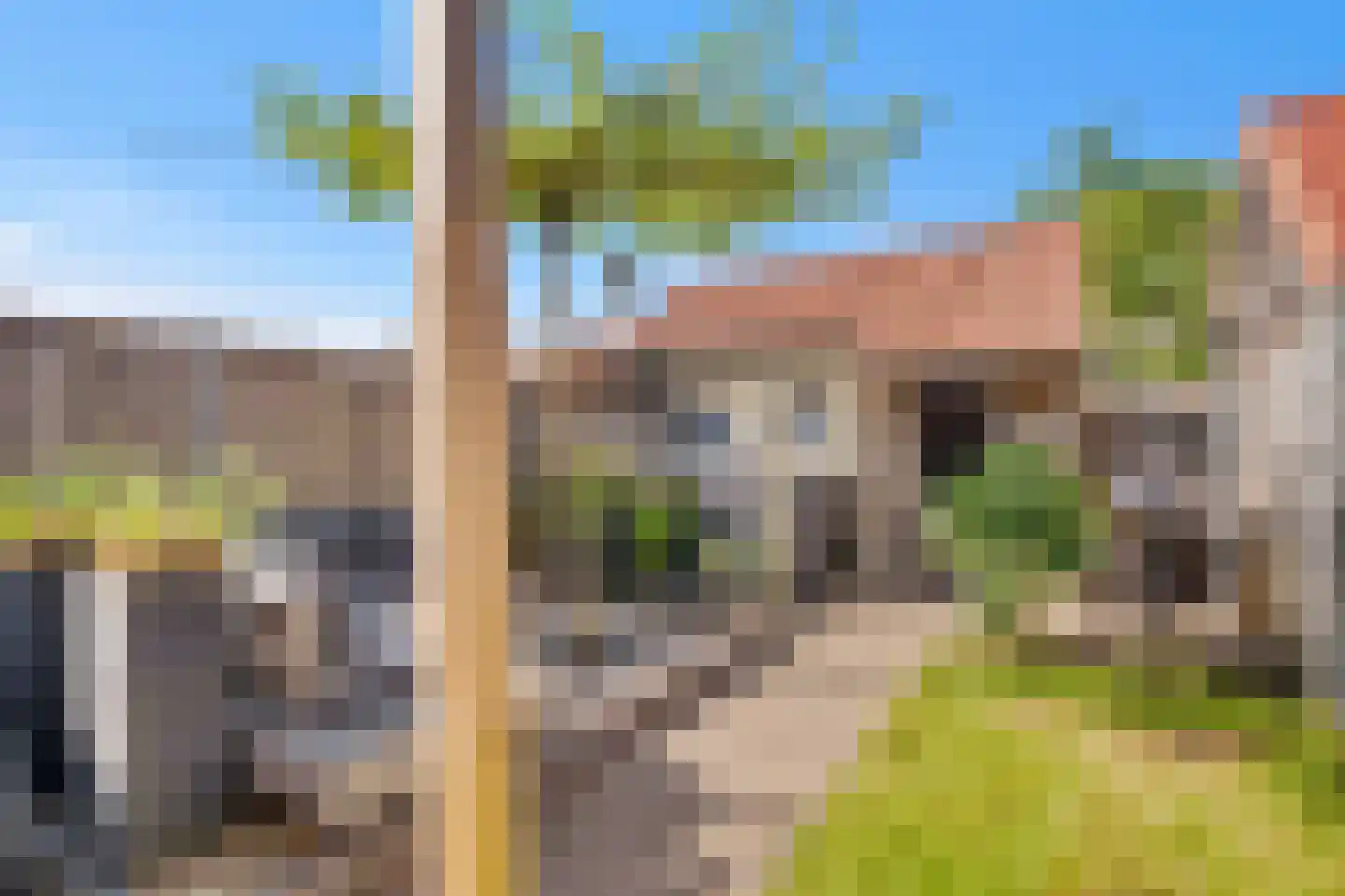 Kalmoes 4 Hardenberg thumbnail 5