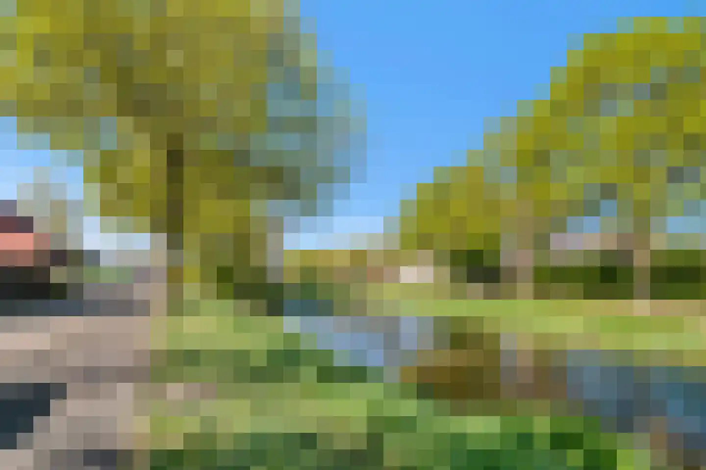Kalmoes 4 Hardenberg thumbnail 6