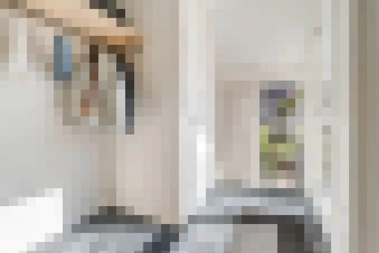 Kalmoes 4 Hardenberg thumbnail 7
