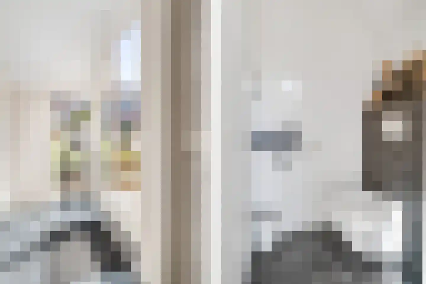 Kalmoes 4 Hardenberg thumbnail 8
