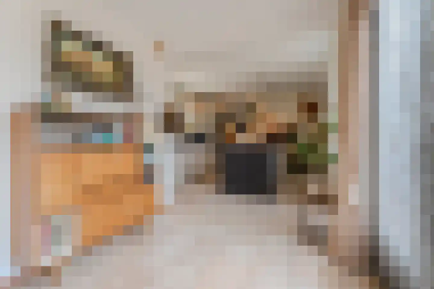 Kalmoes 40 Cuijk thumbnail 12