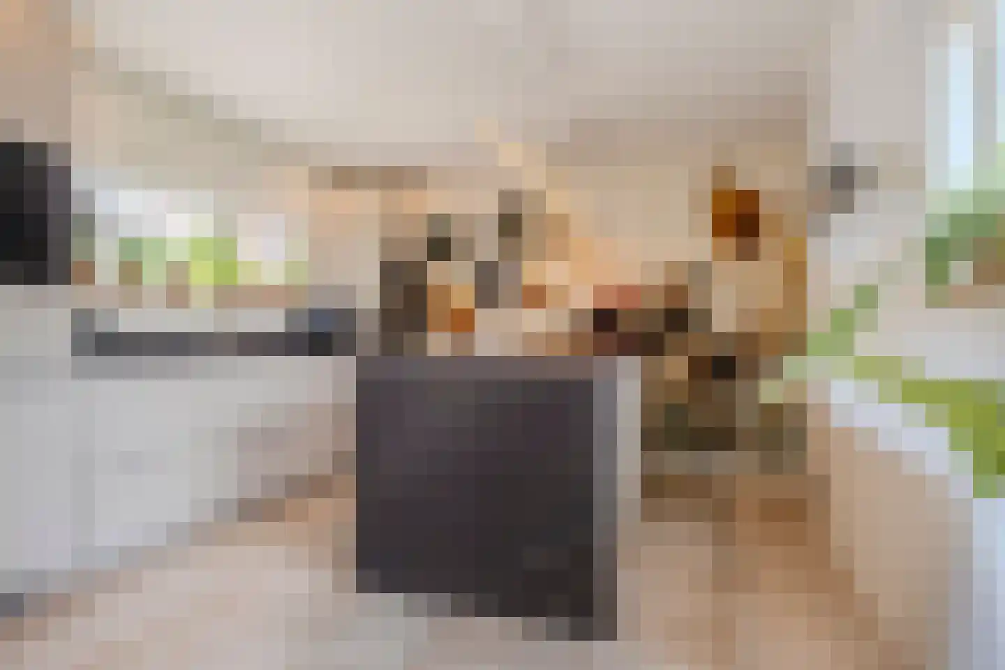 Kalmoes 40 Cuijk thumbnail 13