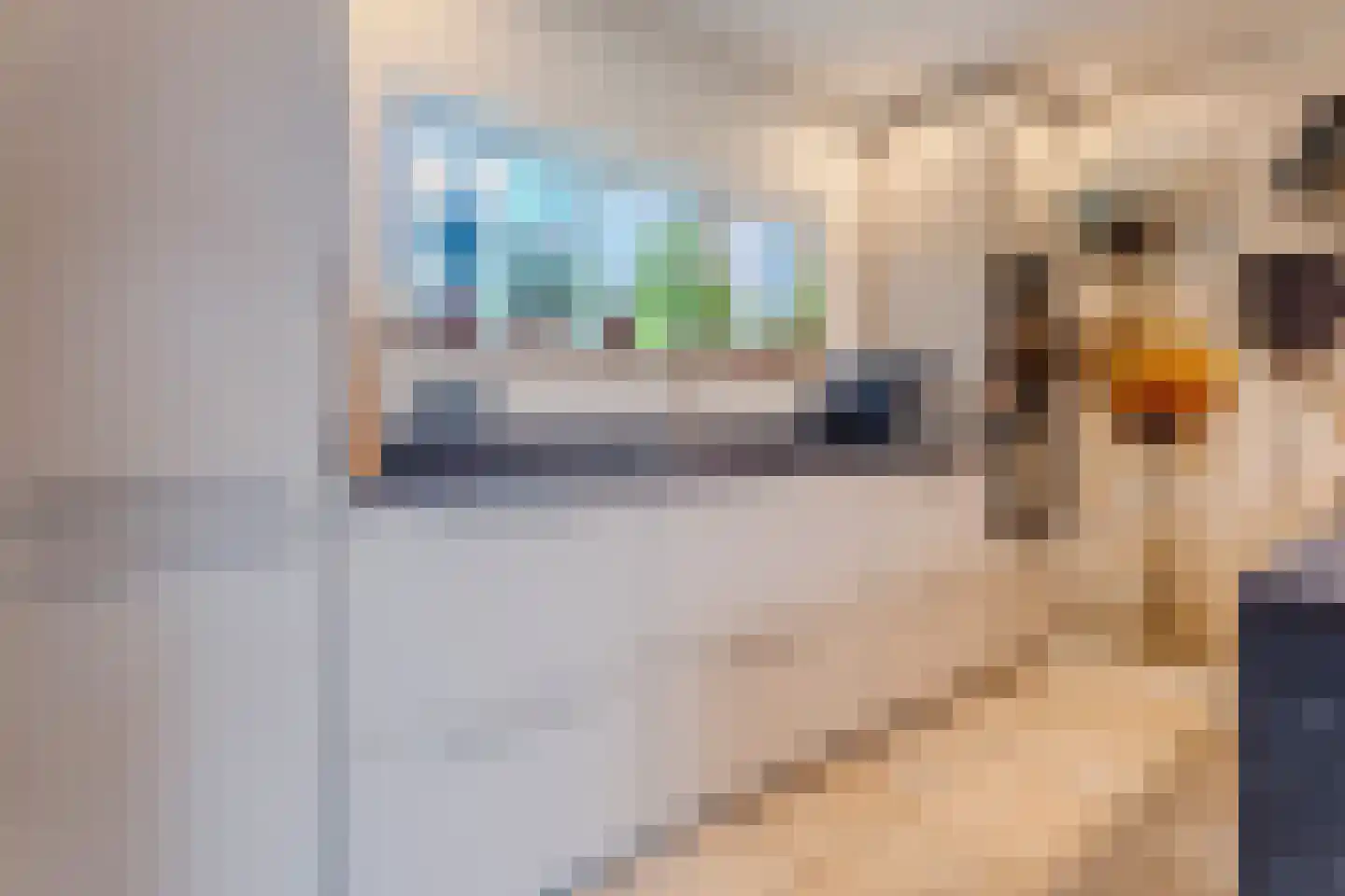 Kalmoes 40 Cuijk thumbnail 15