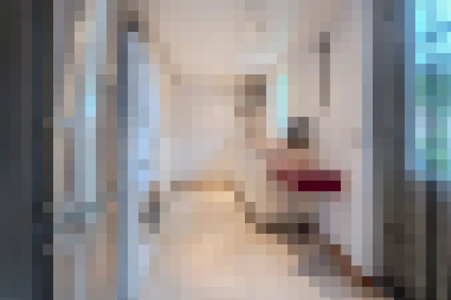 Kalmoes 40 Cuijk thumbnail 17