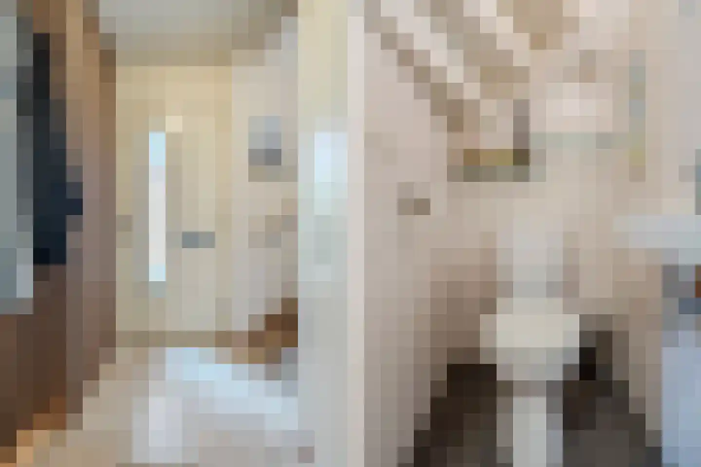 Kalmoes 40 Cuijk thumbnail 18