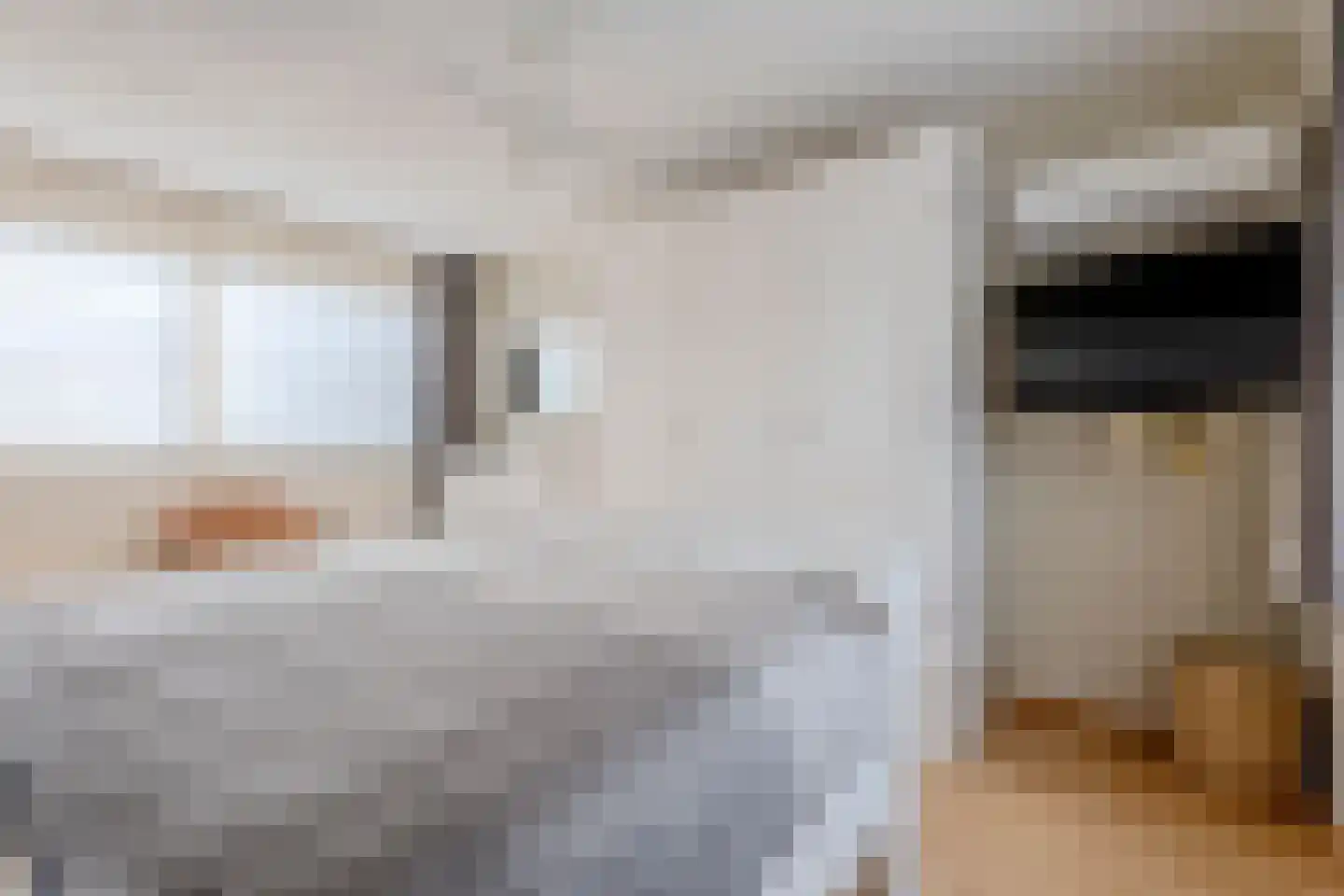 Kalmoes 40 Cuijk thumbnail 19