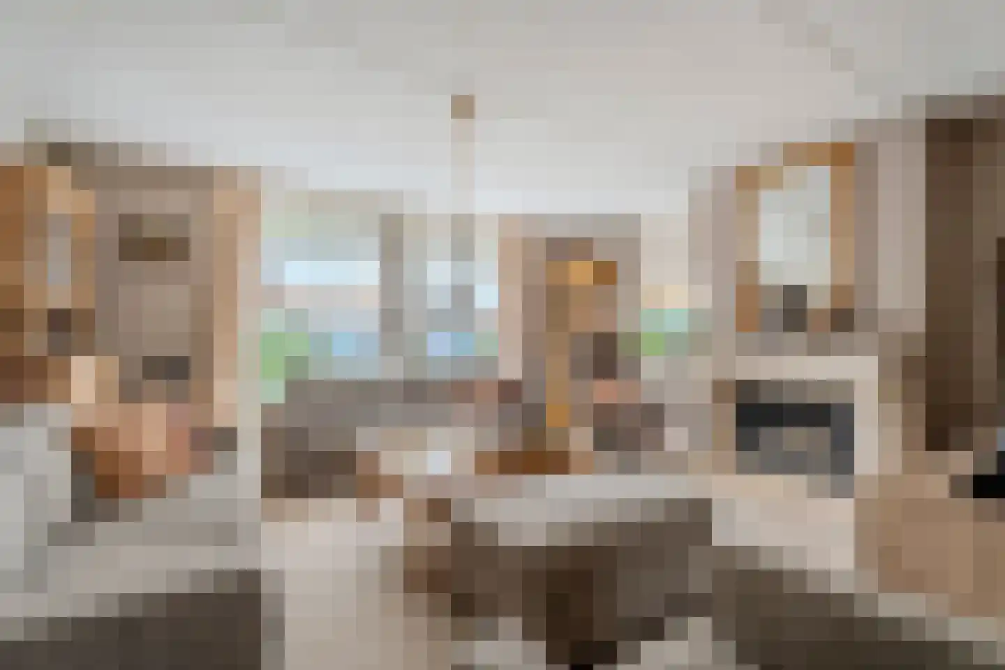 Kalmoes 40 Cuijk foto 2