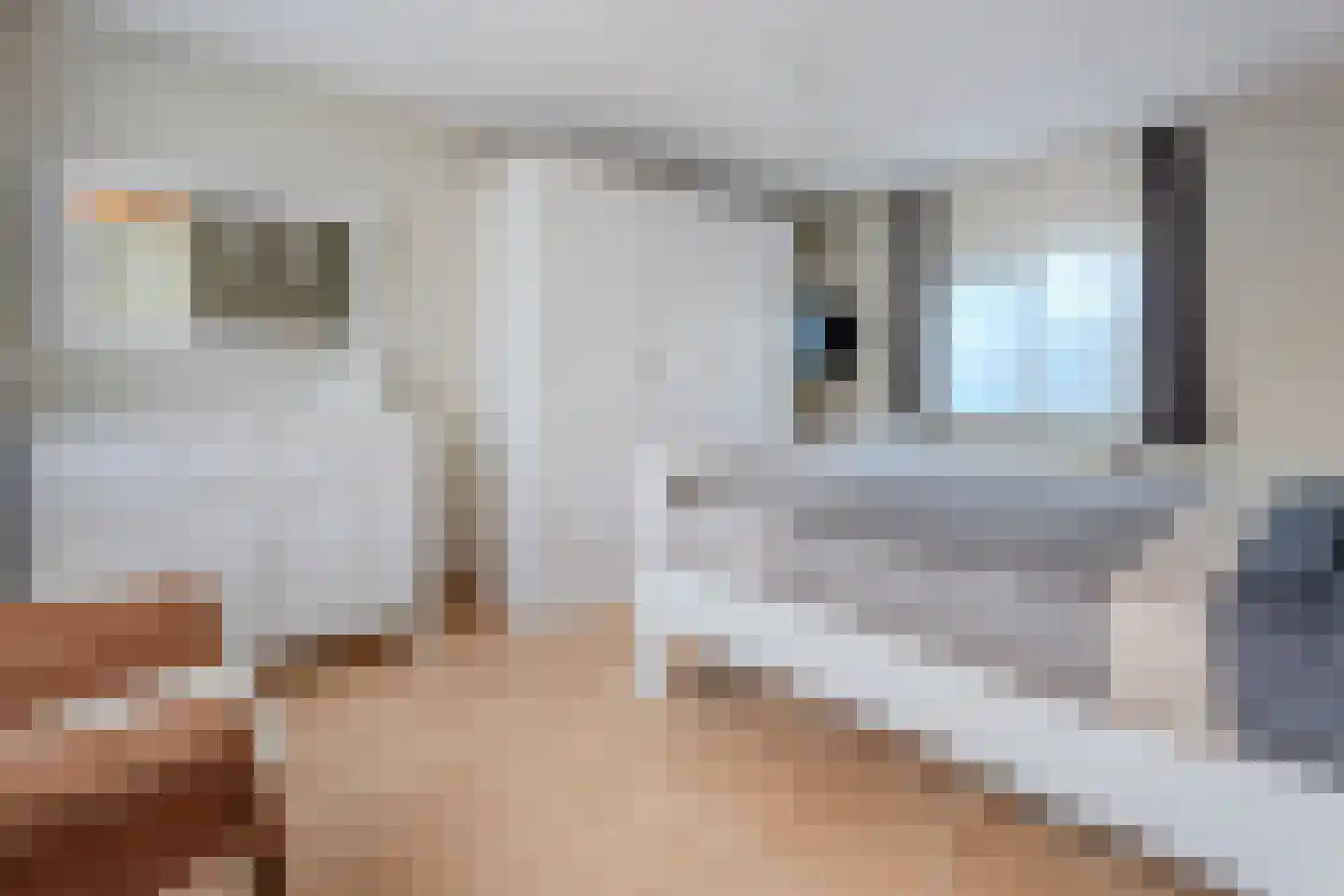 Kalmoes 40 Cuijk thumbnail 20