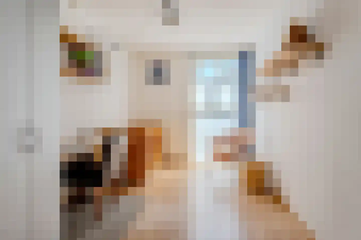 Kalmoes 40 Cuijk thumbnail 22