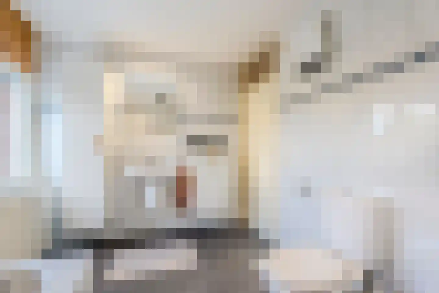 Kalmoes 40 Cuijk thumbnail 24