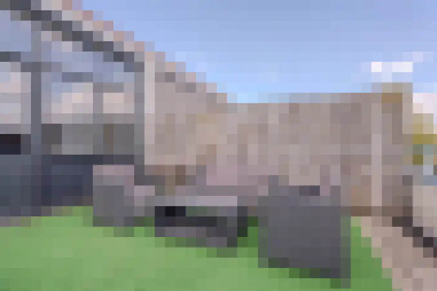 Kalmoes 40 Cuijk thumbnail 29