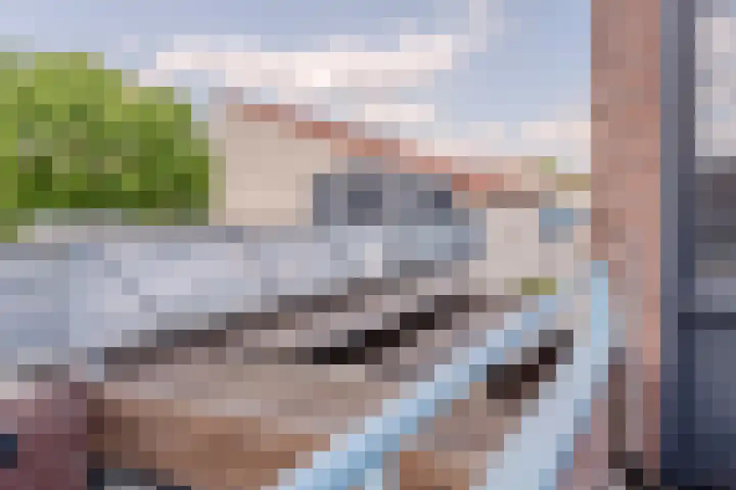 Kalmoes 40 Cuijk thumbnail 32