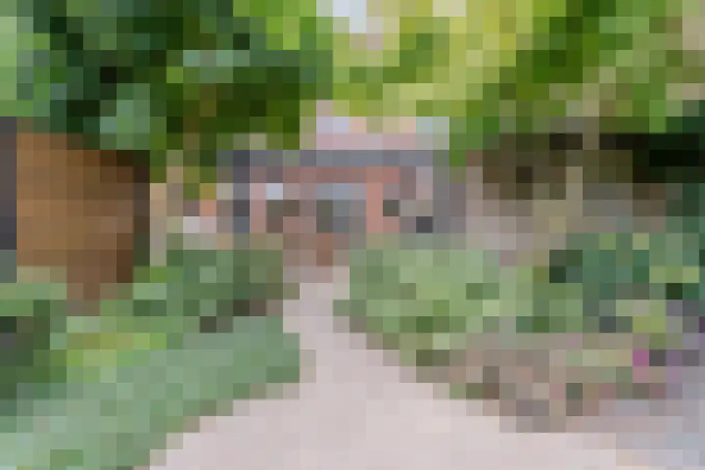 Kalmoes 40 Cuijk thumbnail 34