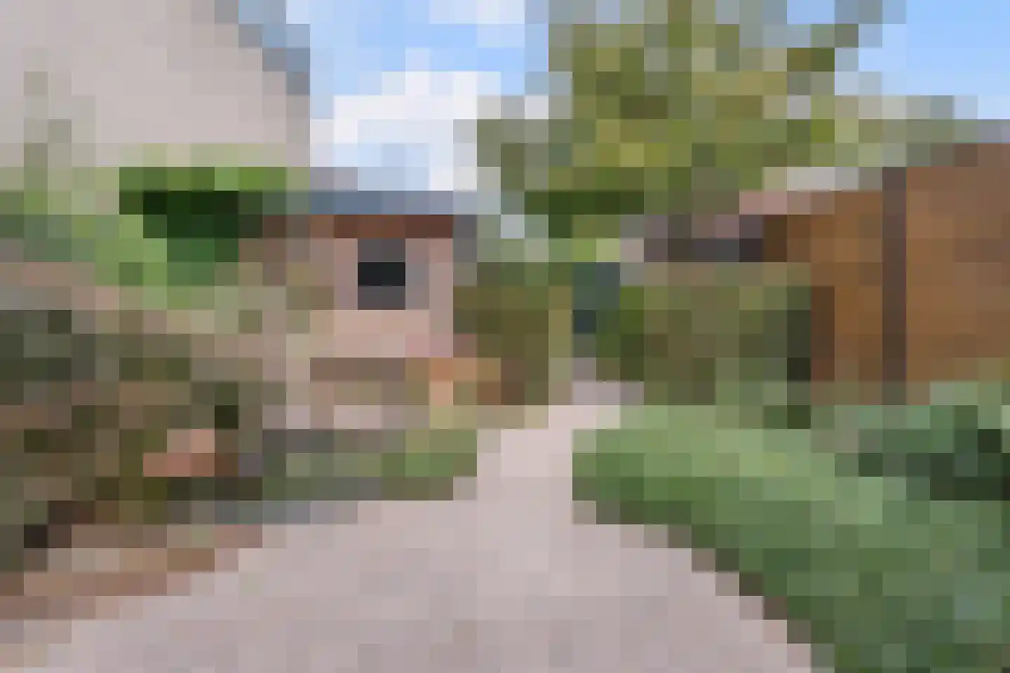 Kalmoes 40 Cuijk thumbnail 36