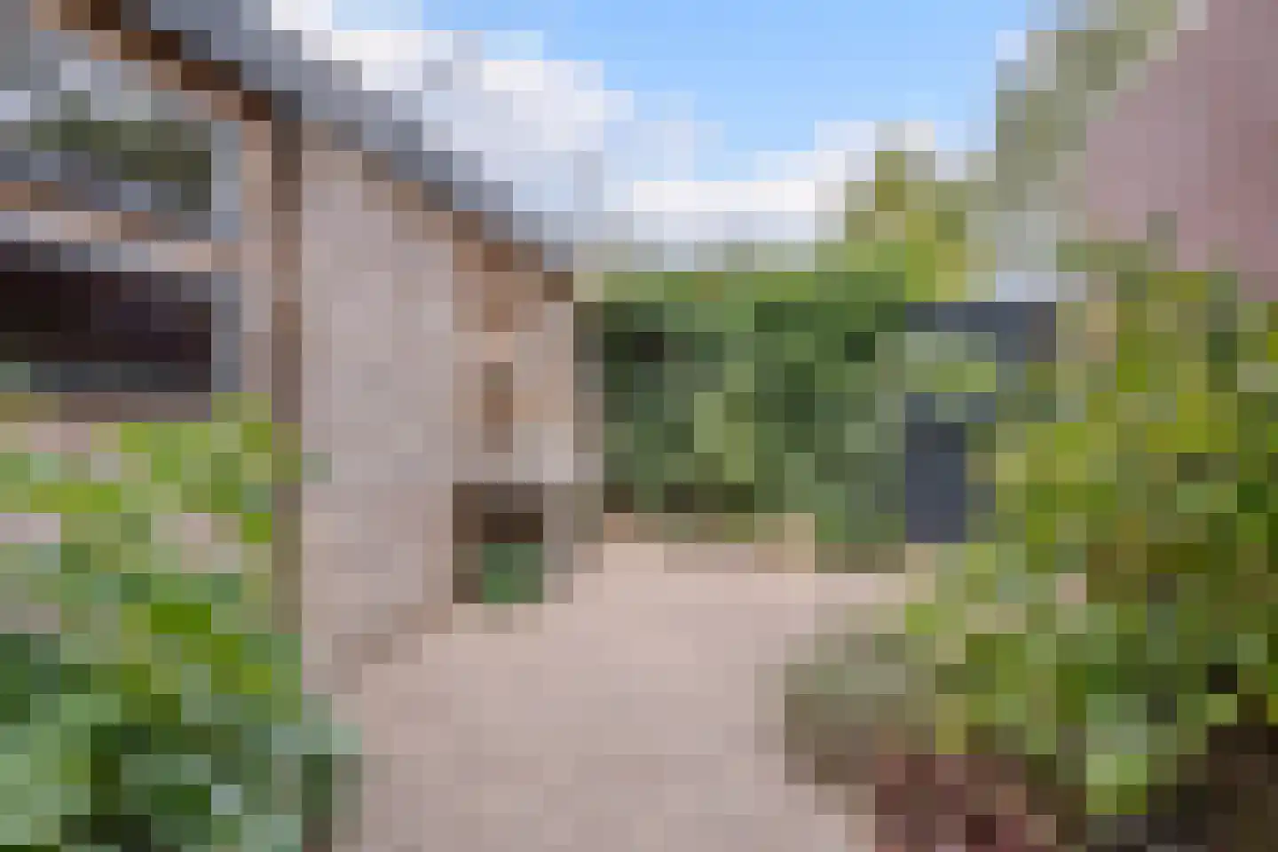 Kalmoes 40 Cuijk thumbnail 37