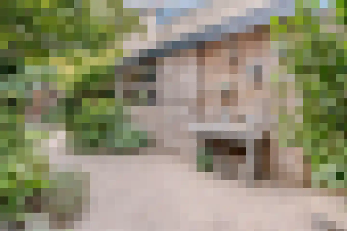 Kalmoes 40 Cuijk thumbnail 38