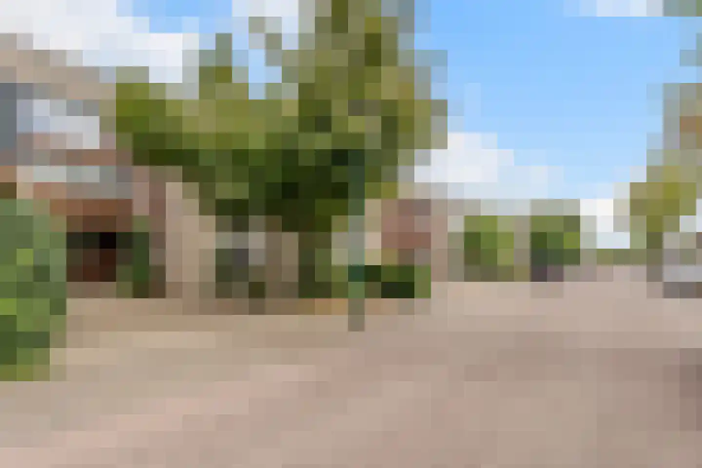 Kalmoes 40 Cuijk thumbnail 39