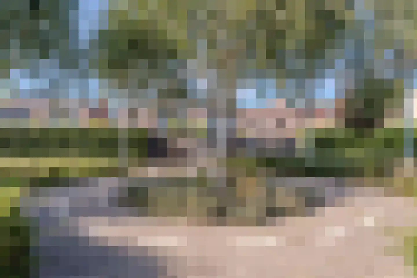 Kalmoes 40 Cuijk thumbnail 40