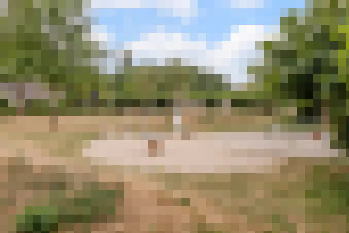 Kalmoes 40 Cuijk thumbnail 42