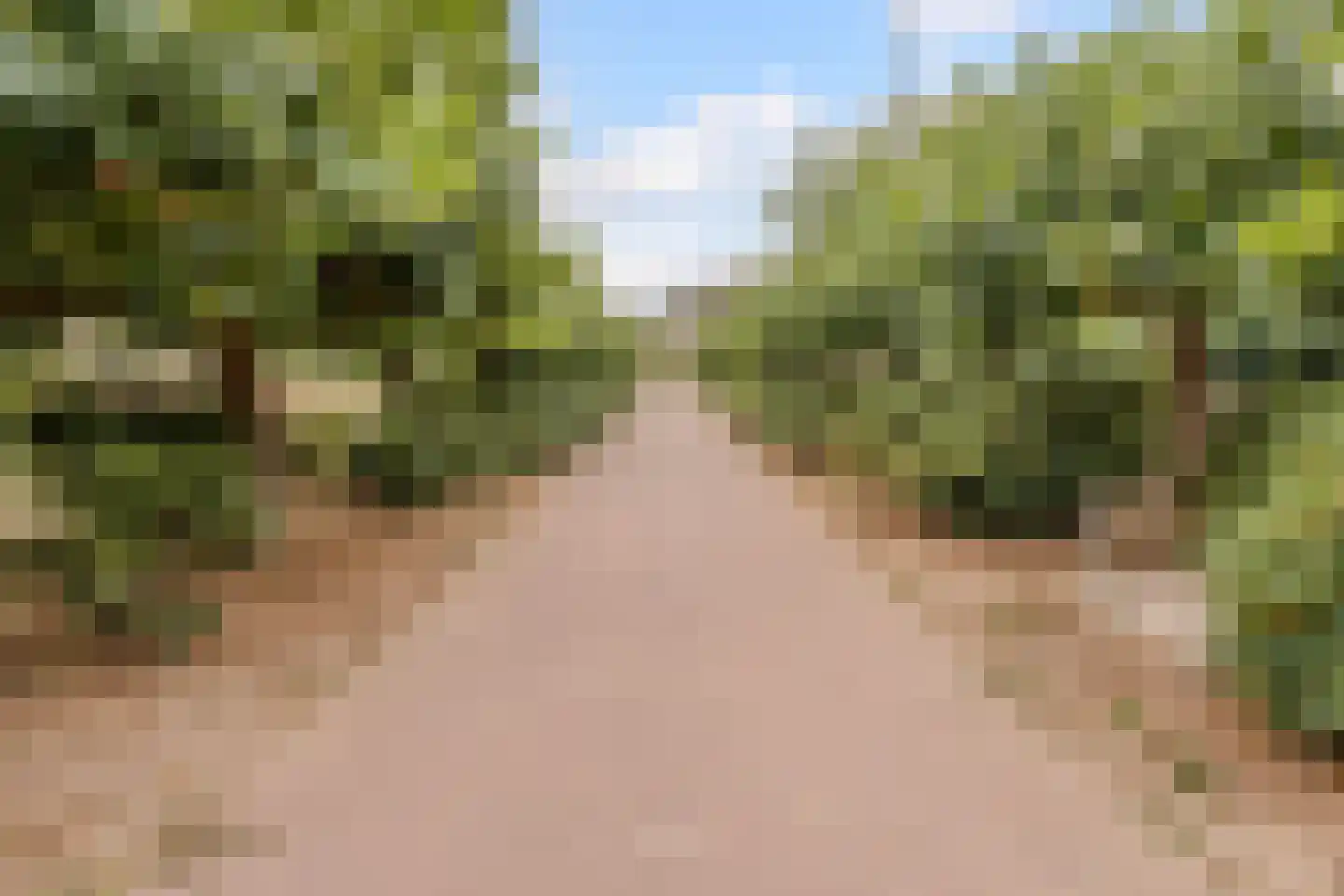 Kalmoes 40 Cuijk thumbnail 43