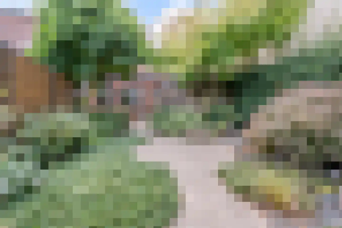 Kalmoes 40 Cuijk thumbnail 5