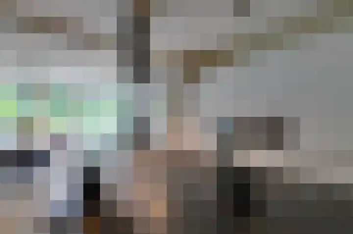 Kalmoes 53 Beilen thumbnail 15