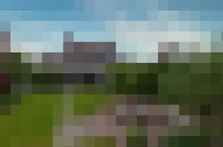 Kalmoes 53 Beilen thumbnail 29