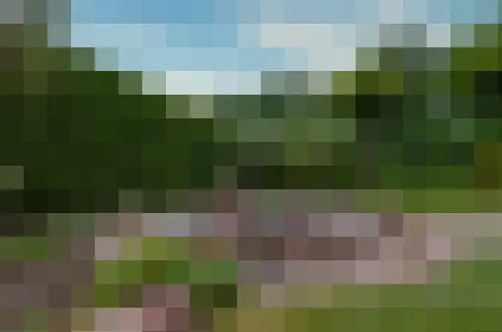 Kalmoes 53 Beilen thumbnail 30