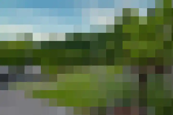 Kalmoes 53 Beilen thumbnail 32