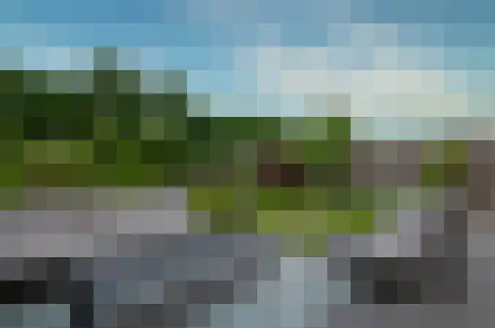 Kalmoes 53 Beilen thumbnail 33