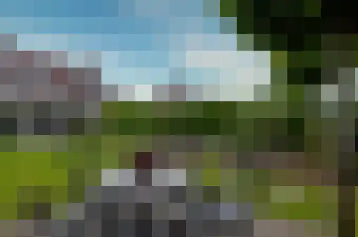 Kalmoes 53 Beilen thumbnail 35