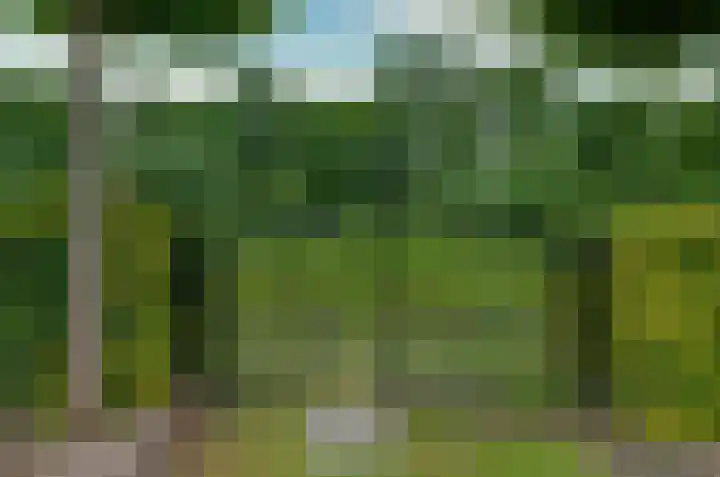 Kalmoes 53 Beilen thumbnail 36