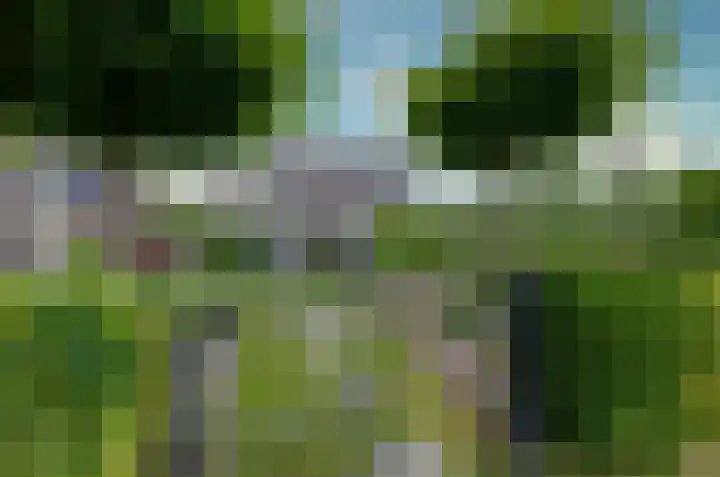 Kalmoes 53 Beilen thumbnail 37