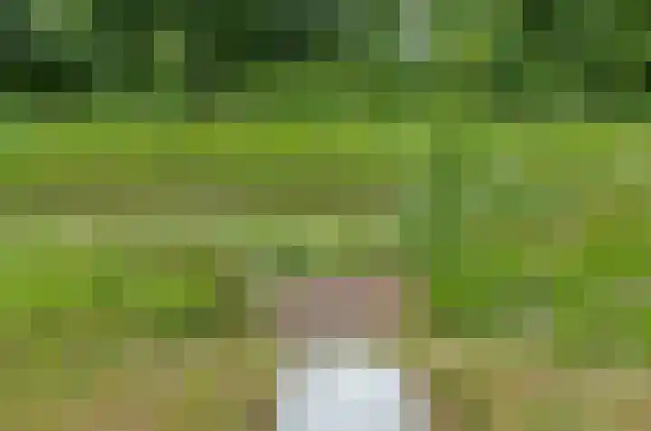 Kalmoes 53 Beilen thumbnail 38