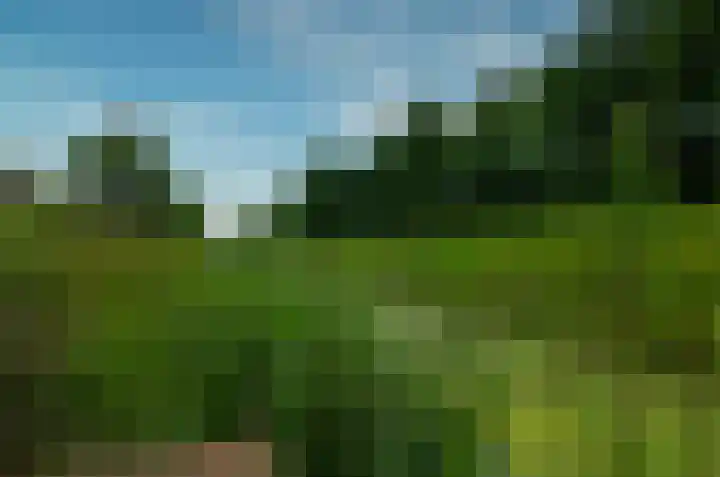 Kalmoes 53 Beilen thumbnail 39