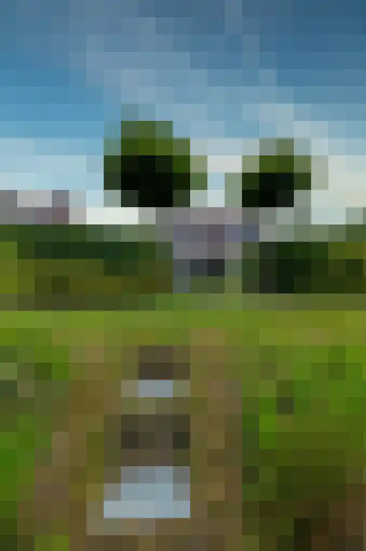 Kalmoes 53 Beilen thumbnail 40