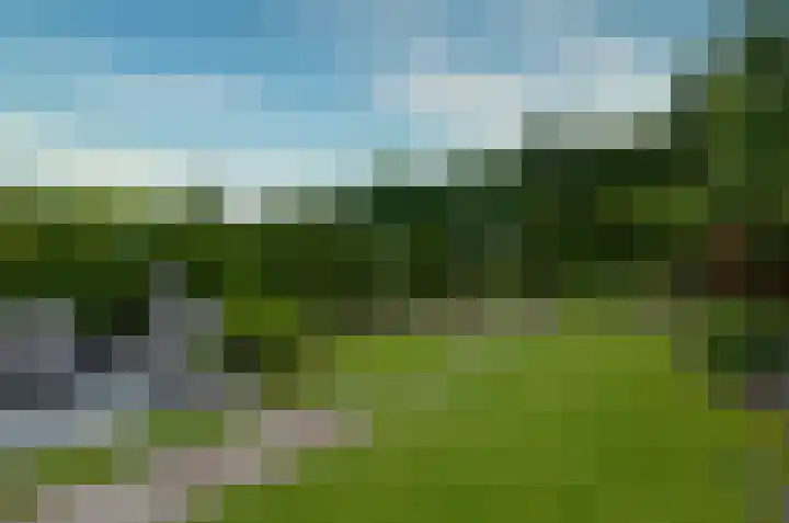 Kalmoes 53 Beilen thumbnail 5