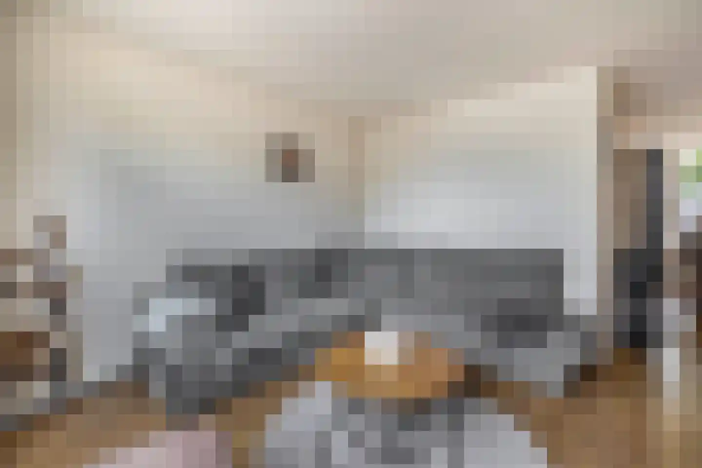 Kalmoes 6 Nieuw-Buinen thumbnail 17