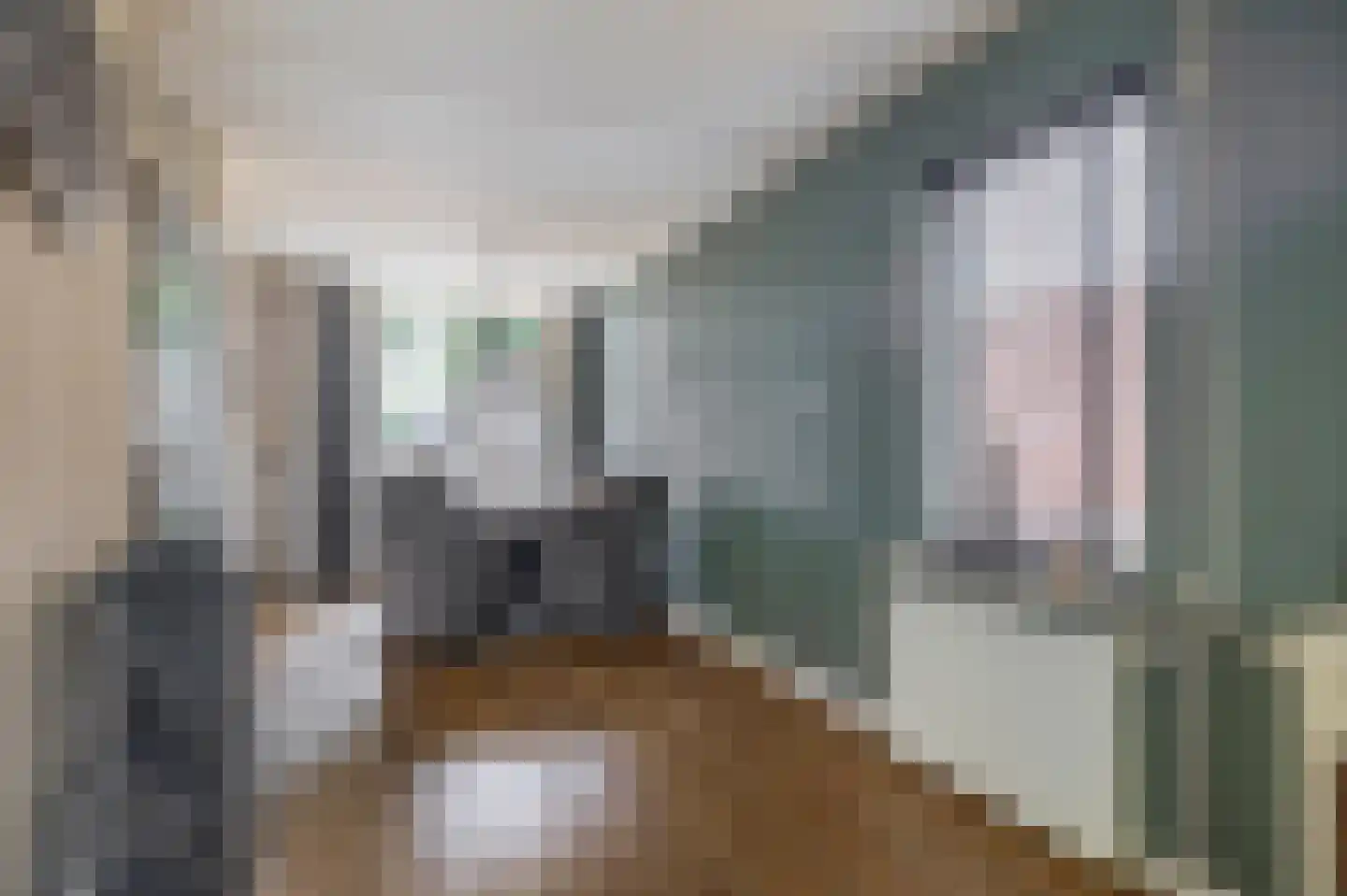 Kalmoes 6 Nieuw-Buinen thumbnail 18