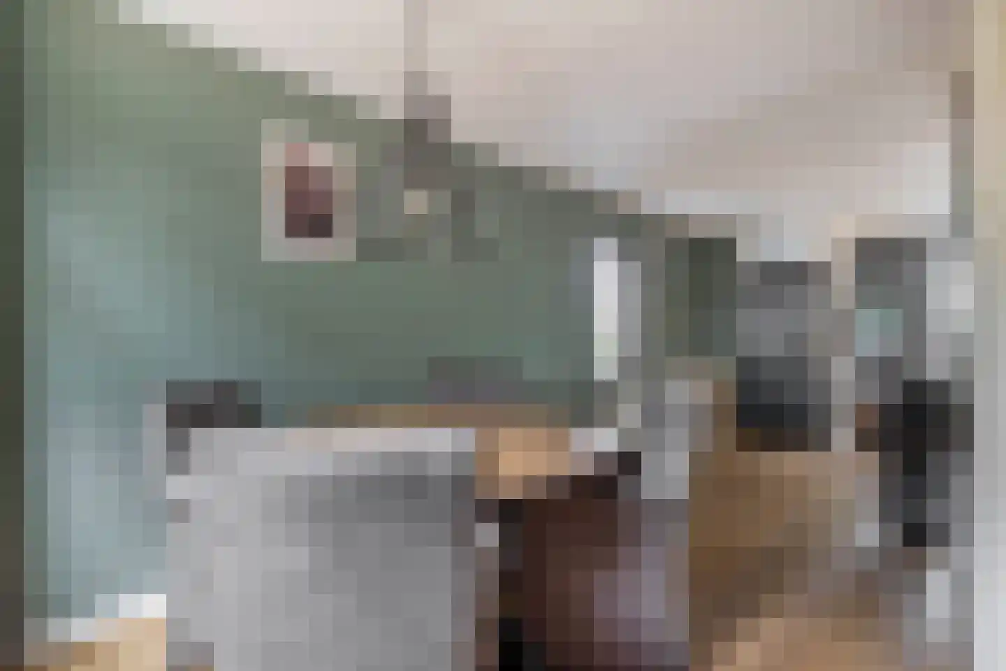 Kalmoes 6 Nieuw-Buinen thumbnail 19