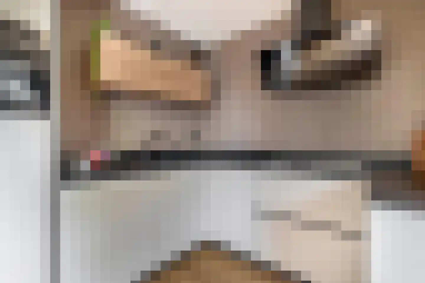 Kalmoes 6 Nieuw-Buinen thumbnail 20