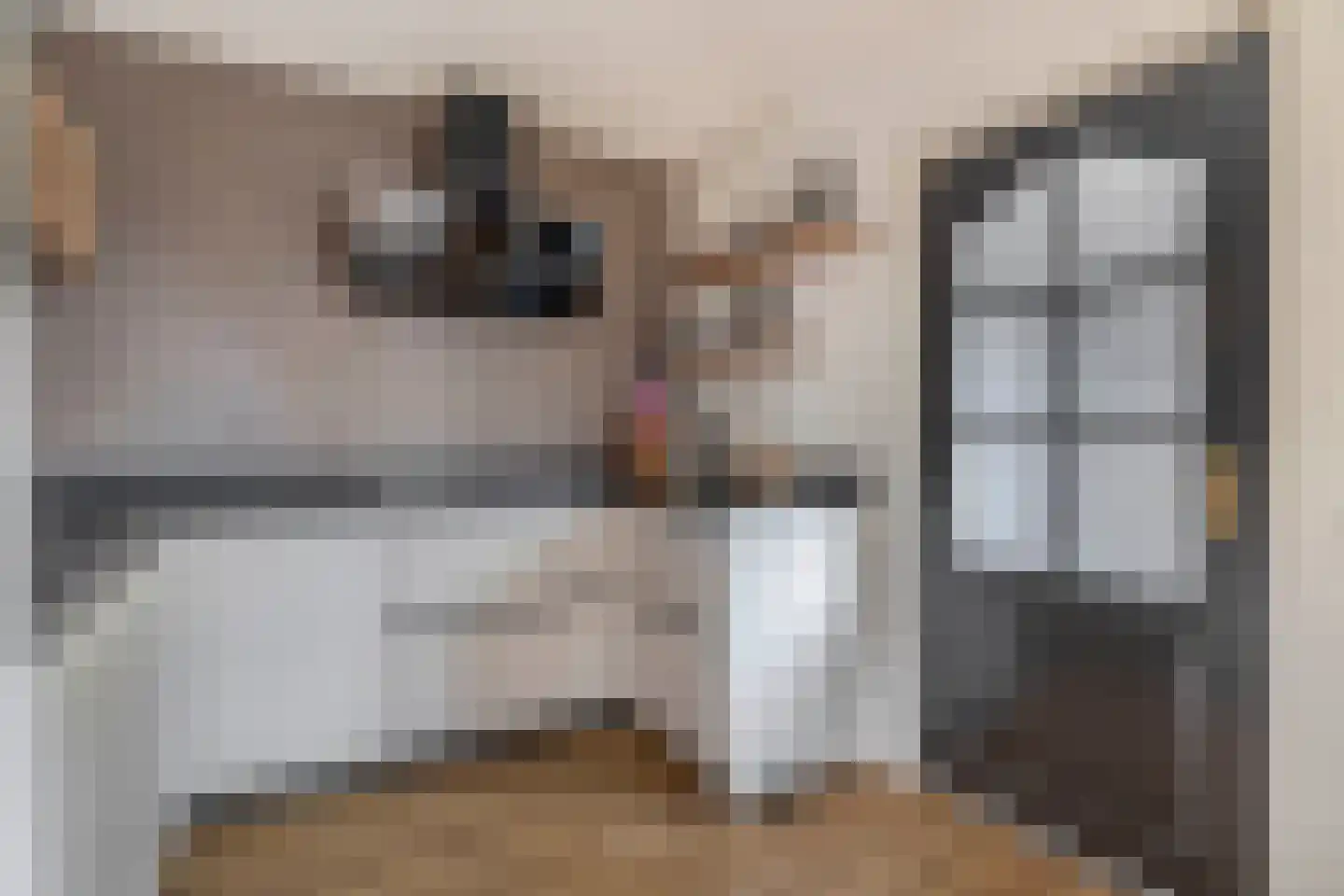 Kalmoes 6 Nieuw-Buinen thumbnail 21