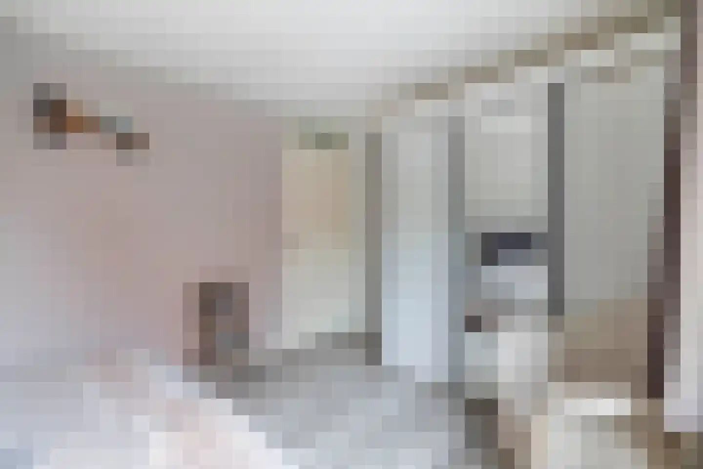 Kalmoes 6 Nieuw-Buinen thumbnail 25