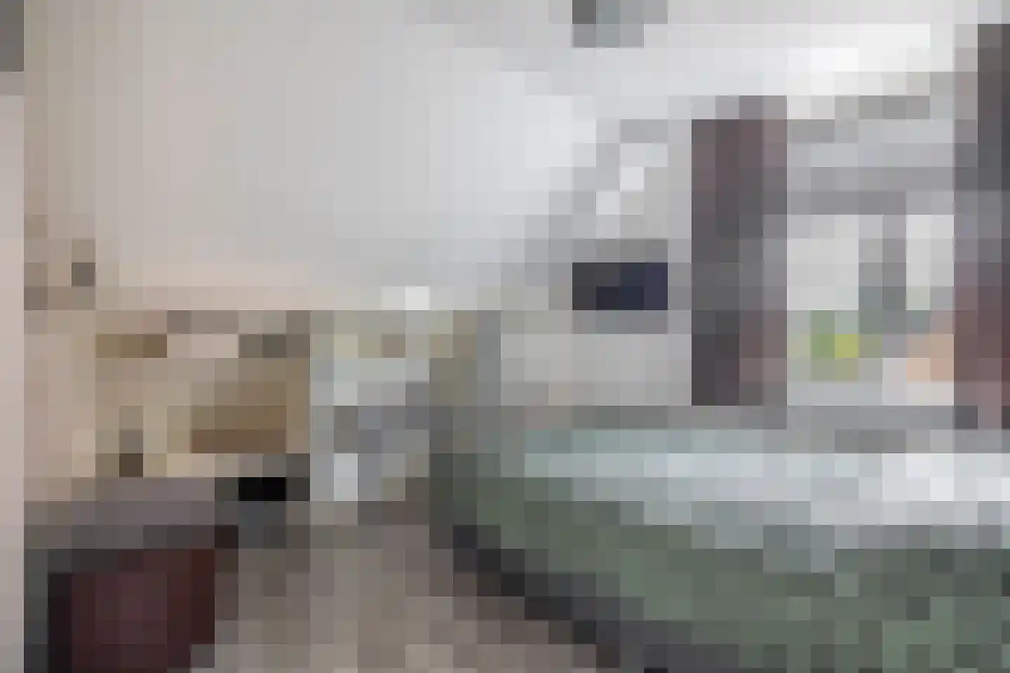 Kalmoes 6 Nieuw-Buinen thumbnail 26