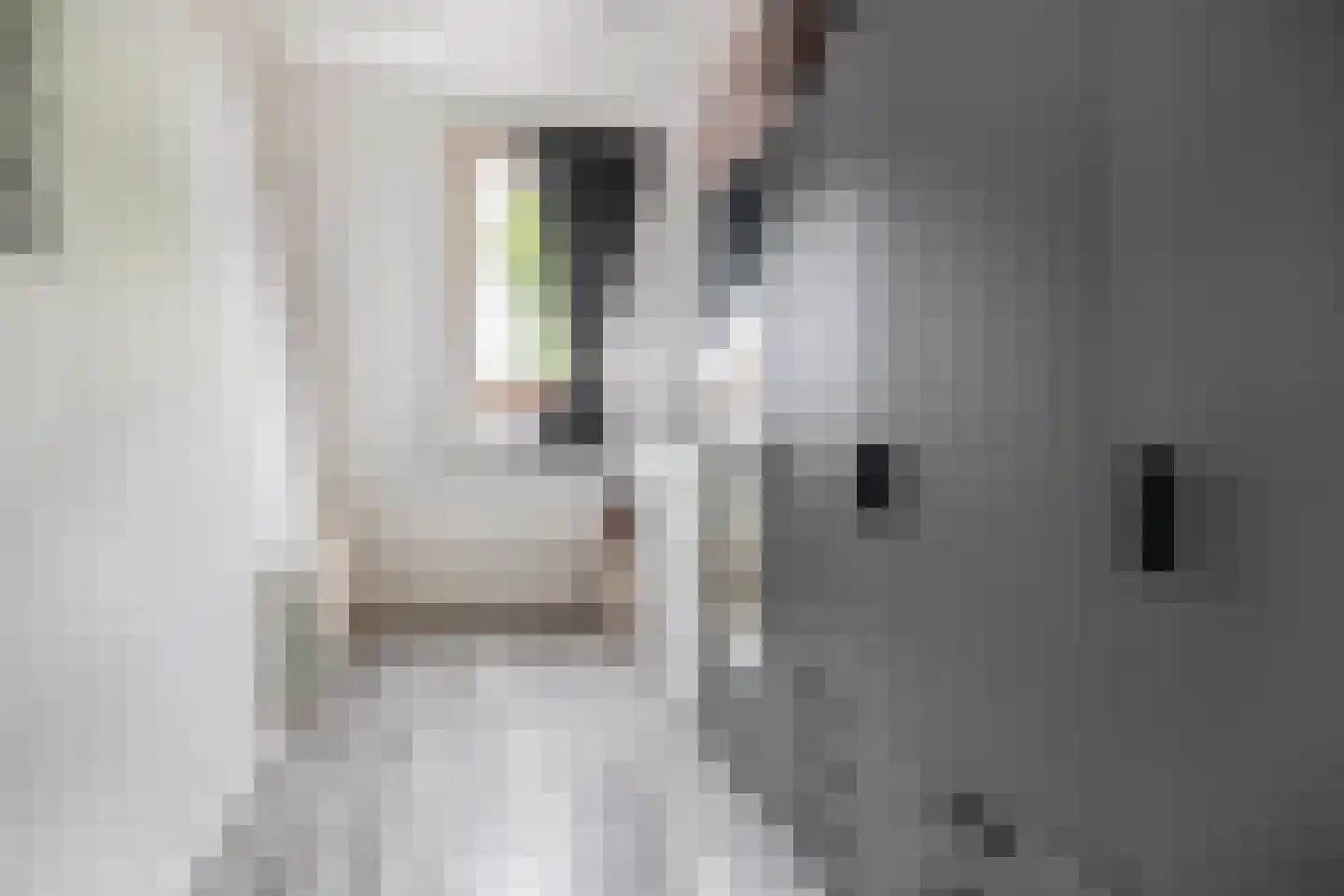 Kalmoes 6 Nieuw-Buinen thumbnail 27