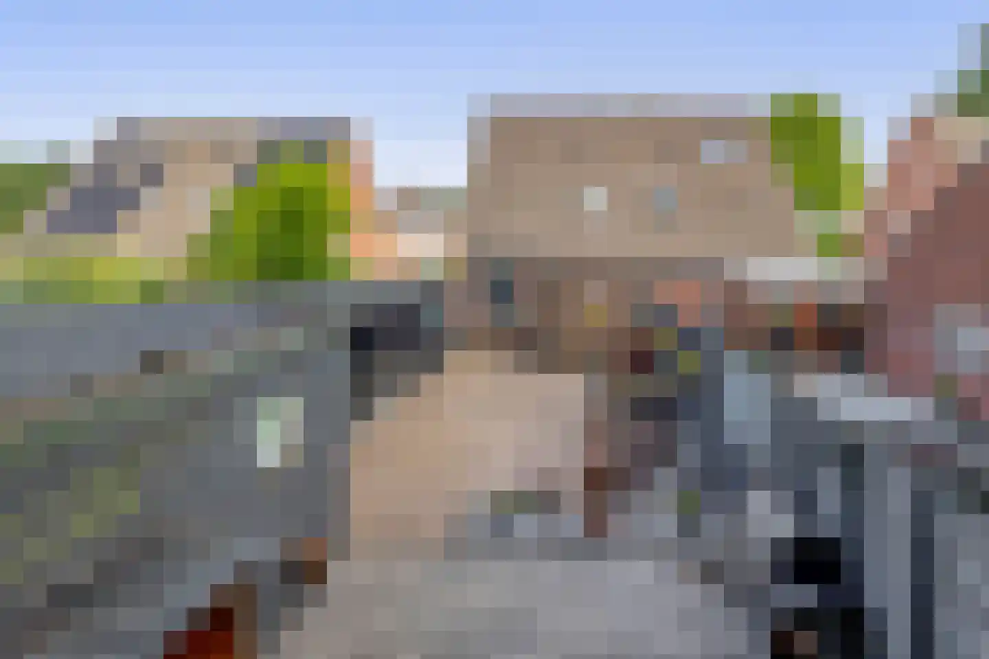Kalmoes 6 Nieuw-Buinen thumbnail 35