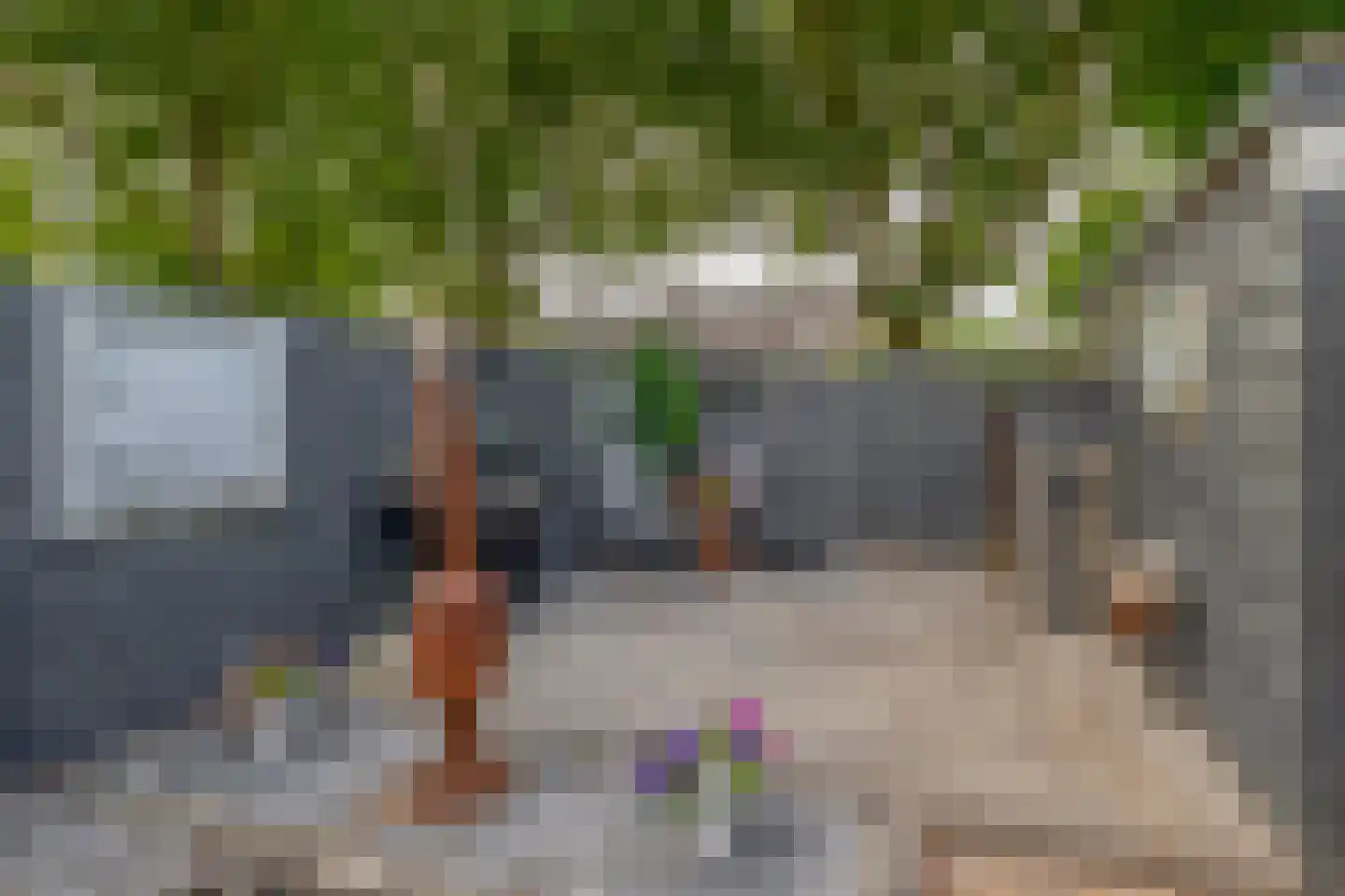 Kalmoes 6 Nieuw-Buinen thumbnail 36