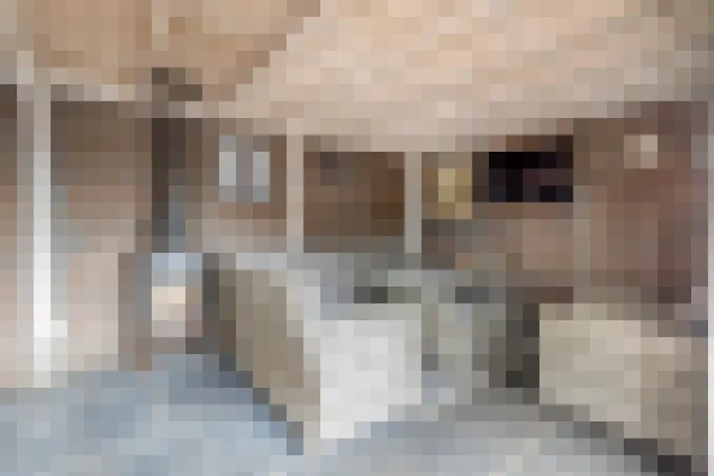 Kalmoes 6 Nieuw-Buinen thumbnail 37