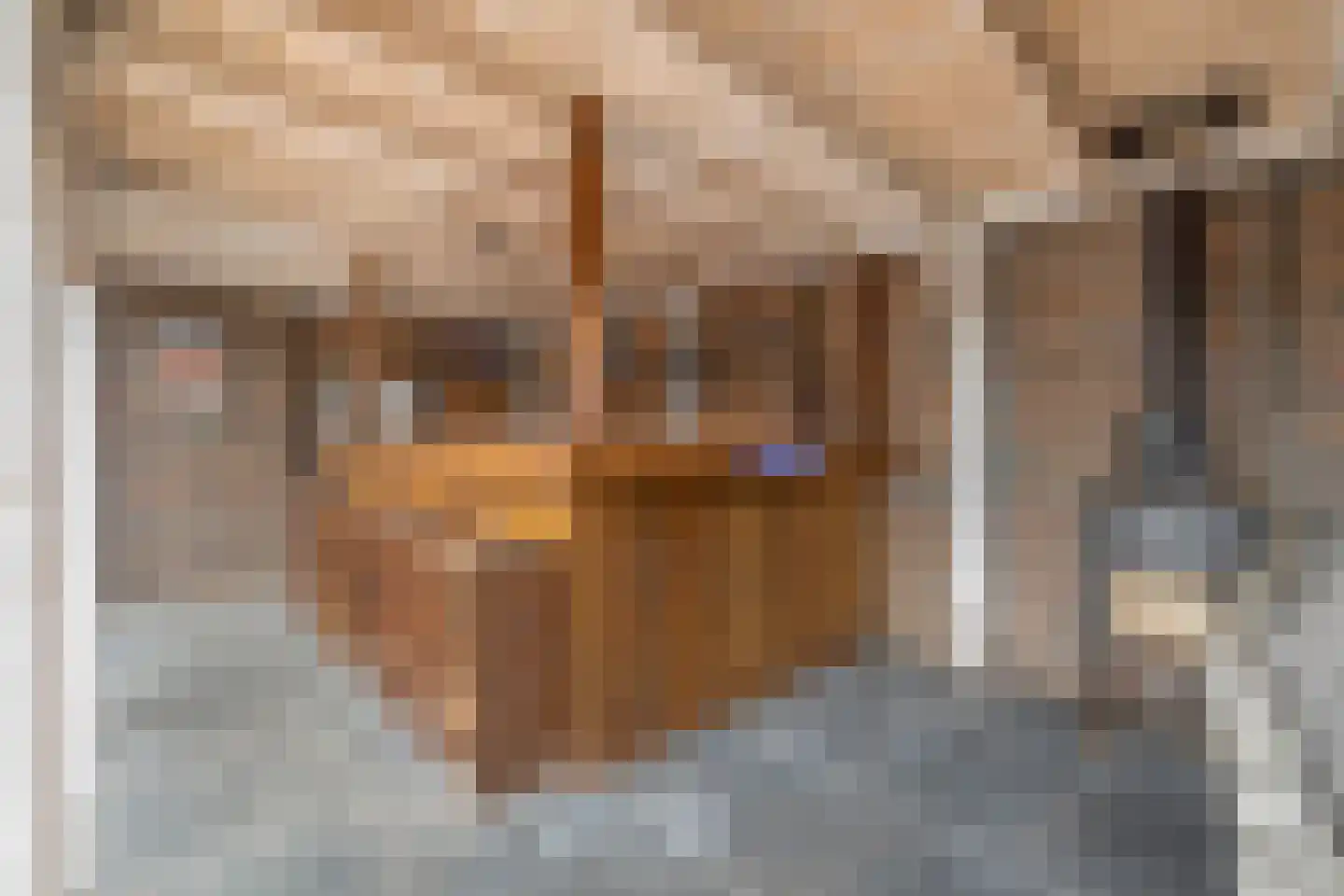 Kalmoes 6 Nieuw-Buinen thumbnail 38